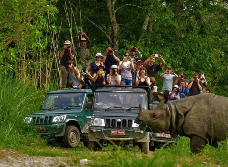 jeep safari (2)